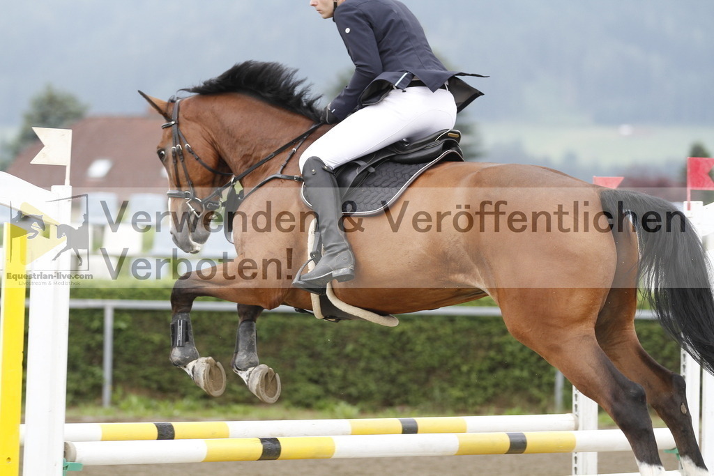 _MG_9583 | equestrian-live-com