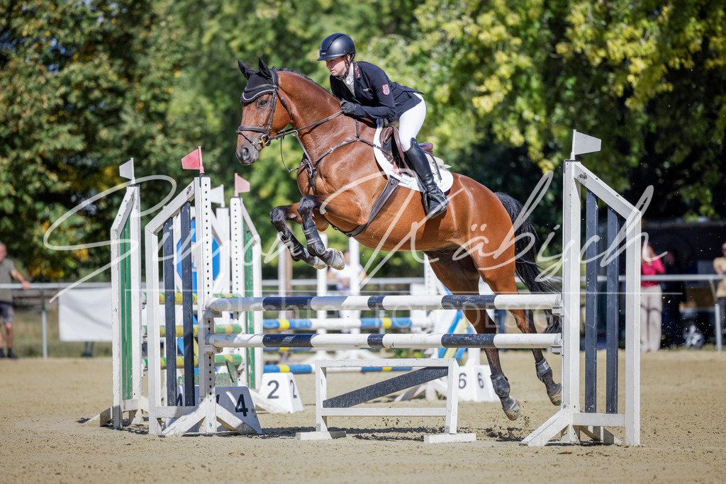20250906-_3LI3728 | Tierfotografie Pferde, Hunde, Katzen, Haustiere.
Turnierfotografie Reitturniere, Reiten, Springreiten, Dressur in Hanau, dem Main-Kinzig-Kreis und dem Rhein-Main- Gebiet um Frankfurt