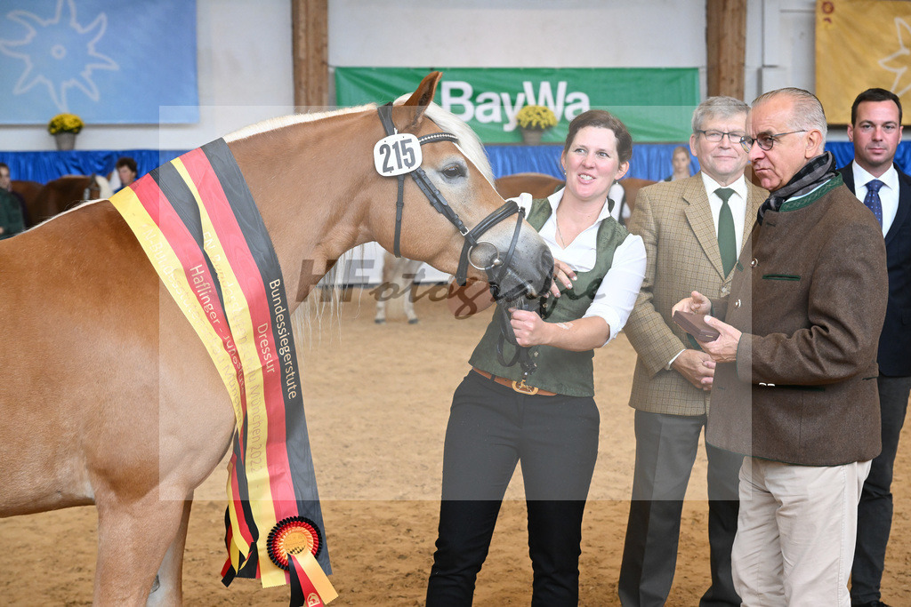 Kat-Nr. 215 Lady_Wagner_54224212 | hf-fotografie - Realisiert mit Pictrs.com