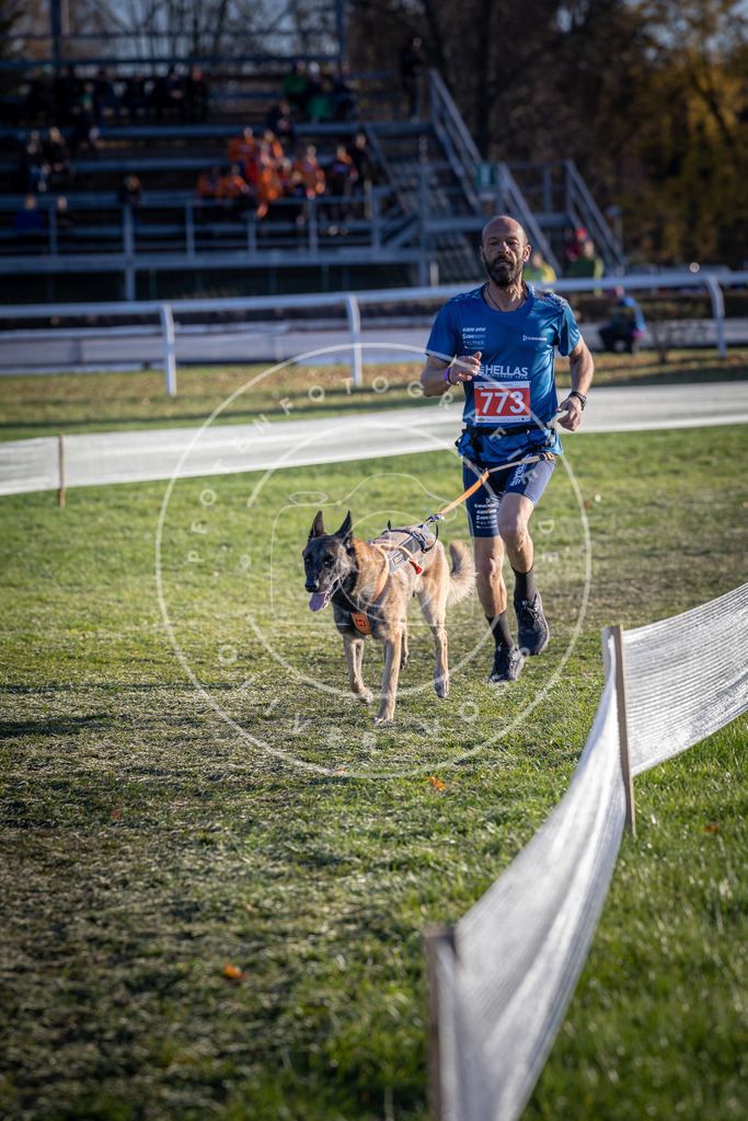 CaniXpix_DV3A2688 | Hundefotografie, Tierfotograf, Pfotenfotografie, Fotoshooting Hund, Hunde Portrait, Hundesport, Hundeportraits, Heideshooting, Hunde, Sportfotograf, Hundefotograf, Turnierhundsport, THS,  - Realisiert mit Pictrs.com
