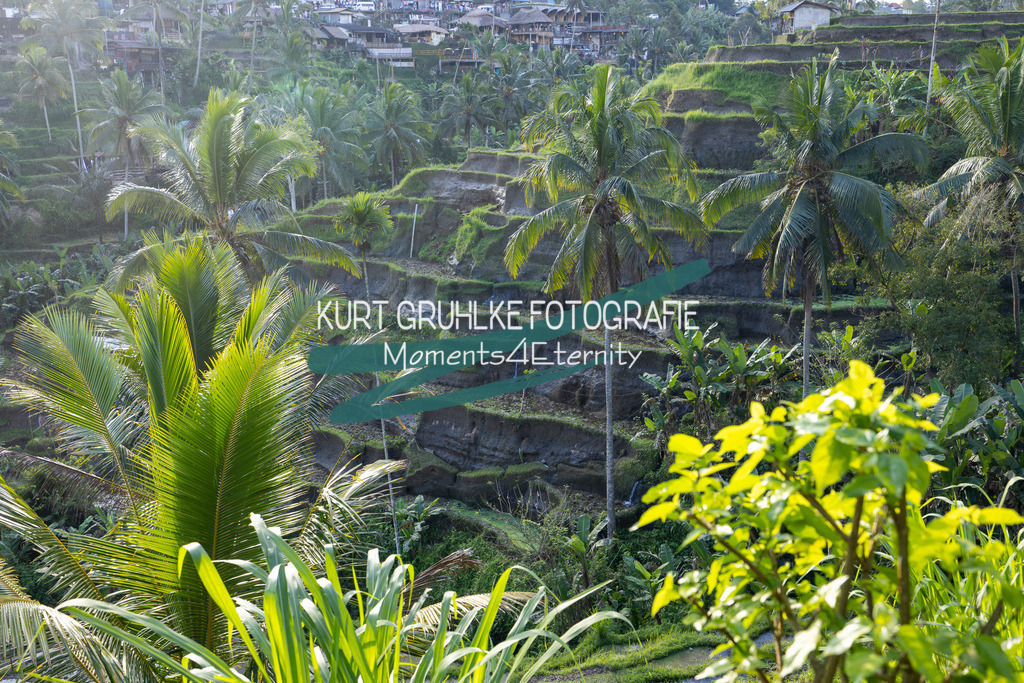 230720-1330 - Kopie | onlinegalerie und Fotoshop Kurt Gruhlke Fotograf Berlin
Hochzeitsfotograf Eventfotograf Portraitfotografie
 - Realisiert mit Pictrs.com