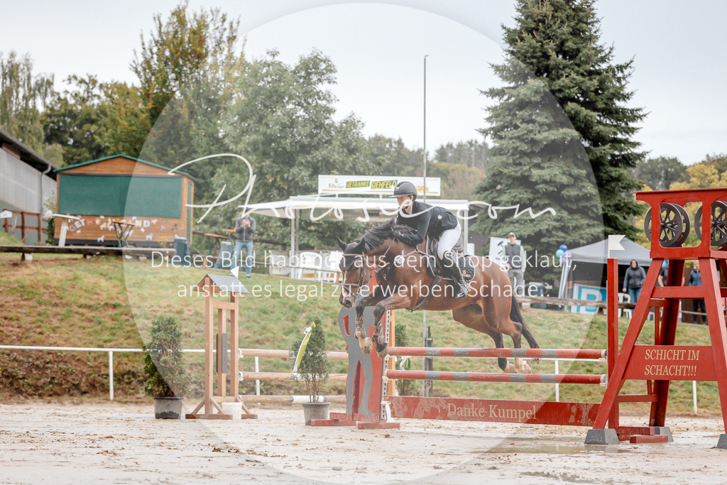3I6A5578 | Stimmungsvolle Portraits und Reitsportfotografie im Ruhrgebiet und im Münsterland.

Pferdefotografie, Hundefotografie, Tierfotografie, Reportagen, Portraits von Tier und Mensch, Turnierfotografie in Bochum, Recklinghausen, Marl, Haltern am See, Dülmen.. - Realisiert mit Pictrs.com