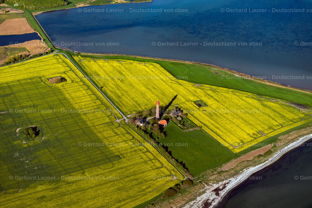 3802247 | Rapsfelder am Flügger Leuchtfeuer, Fehmarn