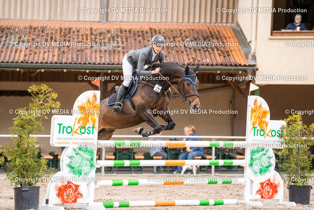 Eppelheim Tag 1-116 | dv-media-shop - Realisiert mit Pictrs.com