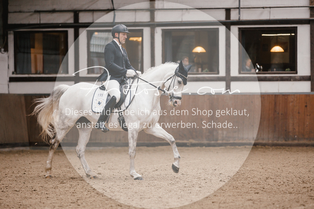 3I6A6866 | Stimmungsvolle Portraits und Reitsportfotografie im Ruhrgebiet und im Münsterland.

Pferdefotografie, Hundefotografie, Tierfotografie, Reportagen, Portraits von Tier und Mensch, Turnierfotografie in Bochum, Recklinghausen, Marl, Haltern am See, Dülmen.. - Realisiert mit Pictrs.com