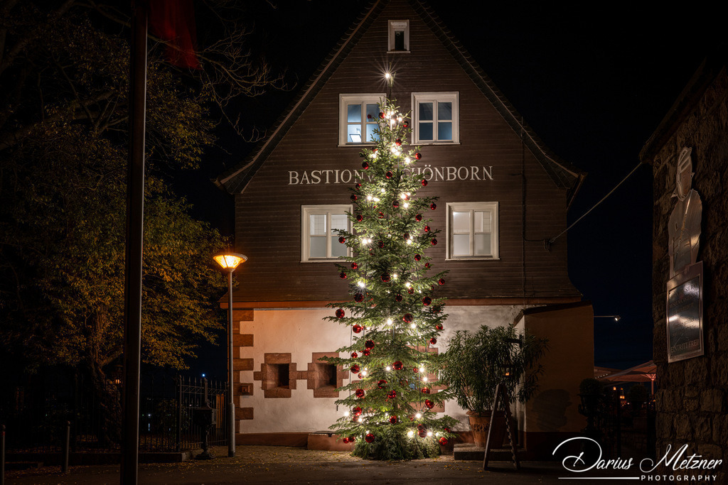 DSC_6756 | Fotografien, Fotos und Bilder aus Mainz, Frankfurt, Wiesbaden und anderen Orten auf der Welt - Fotografiert von Darius Metzner