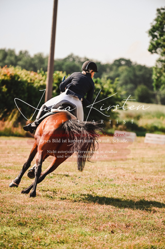 DSC_7372 | Pferde- und Turnierfotografie in Westsachsen. Pferdeportraits, Auftragszeichnungen und intuitive Kunst.