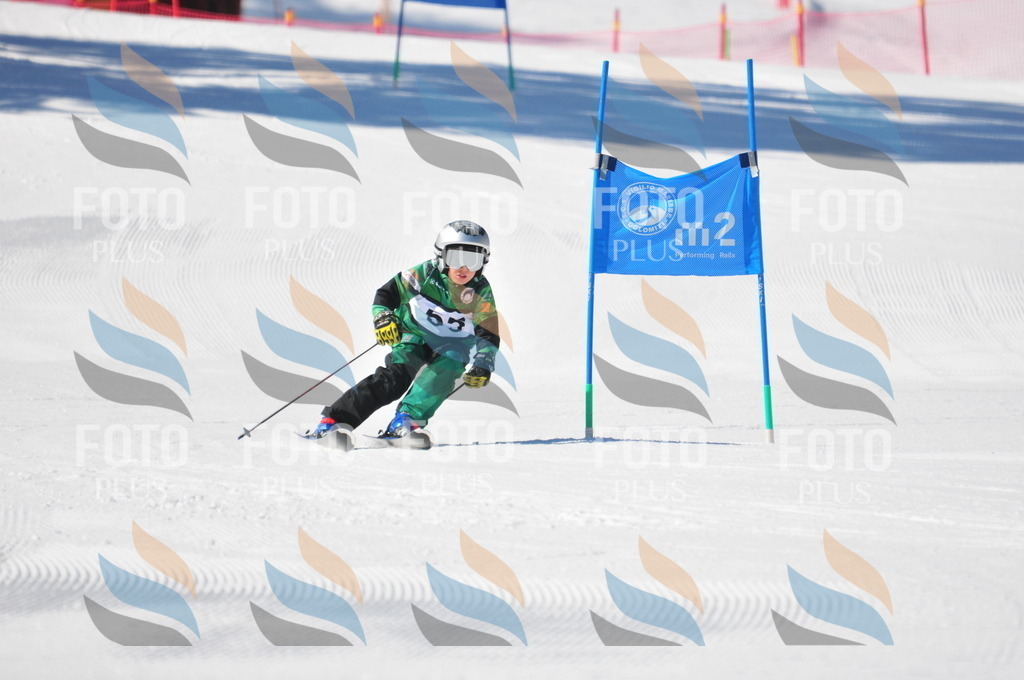 C2145 | holidayphoto