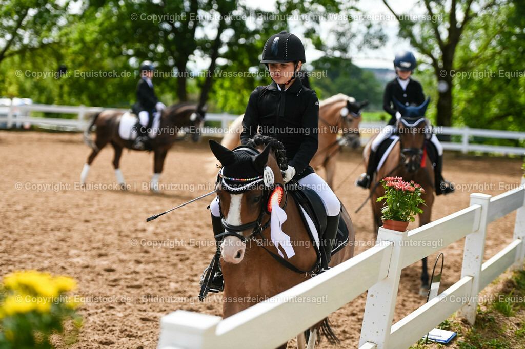 20230716_10-3_Reiter-WB Schritt - Trab - Galopp_0249 | equistock