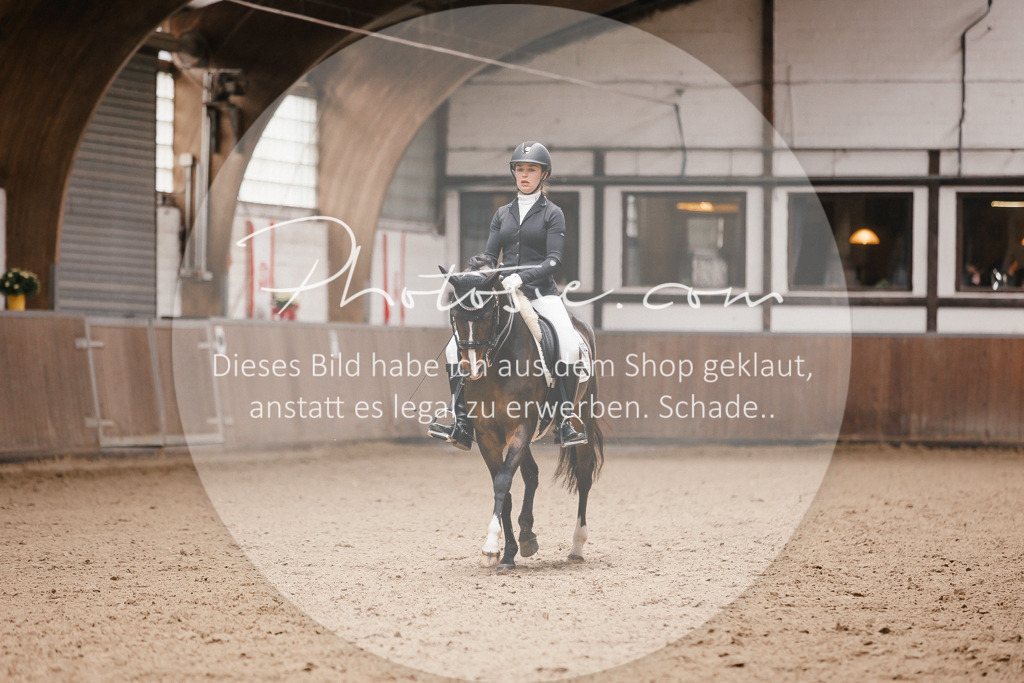 3I6A9006 | Stimmungsvolle Portraits und Reitsportfotografie im Ruhrgebiet und im Münsterland.

Pferdefotografie, Hundefotografie, Tierfotografie, Reportagen, Portraits von Tier und Mensch, Turnierfotografie in Bochum, Recklinghausen, Marl, Haltern am See, Dülmen.. - Realisiert mit Pictrs.com