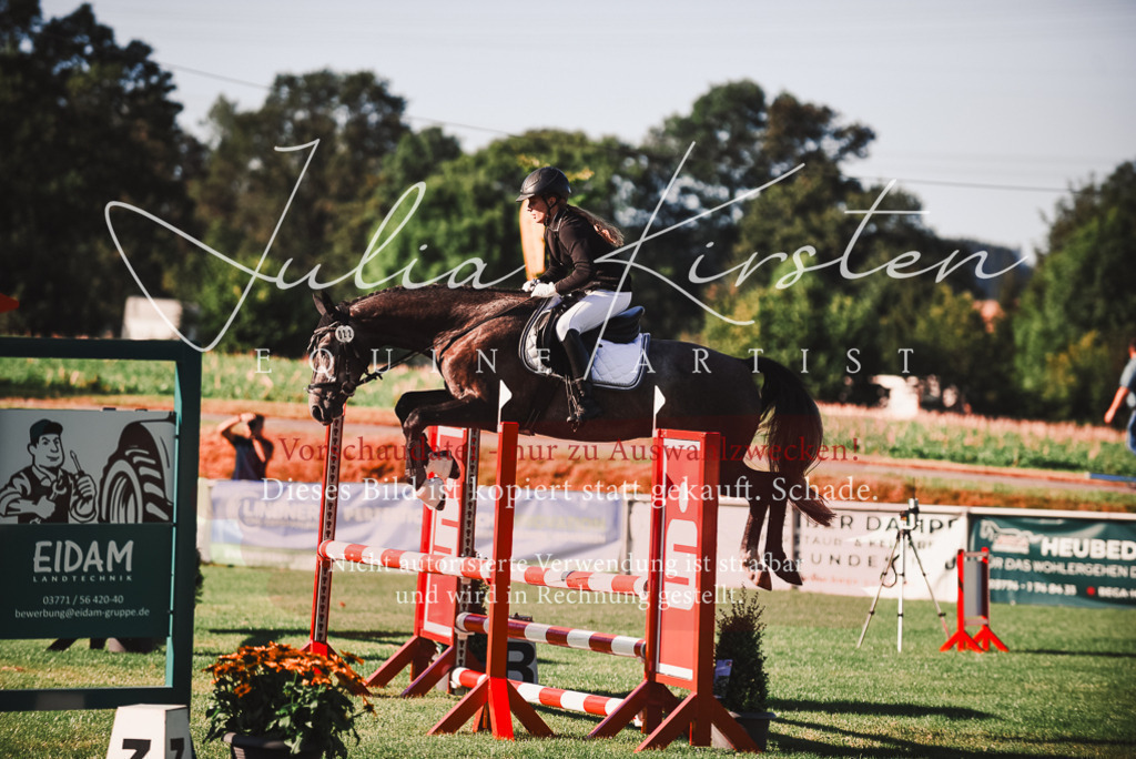 DSC_2188 | Pferde- und Turnierfotografie in Westsachsen. Pferdeportraits, Auftragszeichnungen und intuitive Kunst.