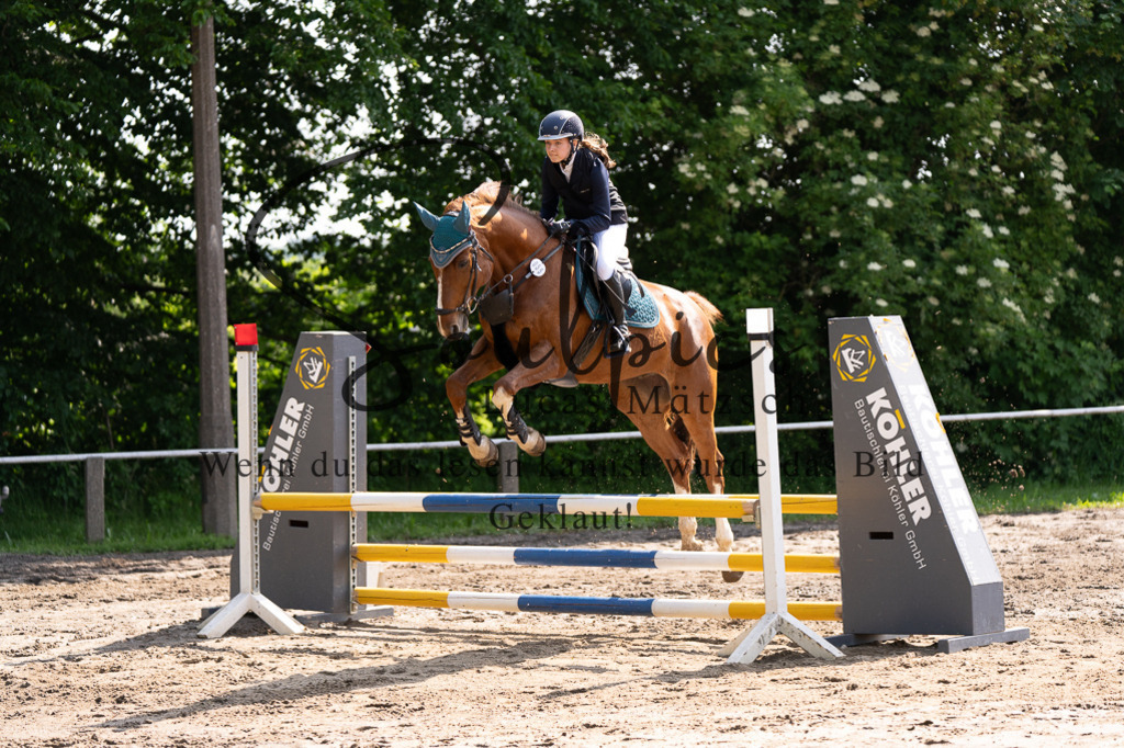 A7507352 | Turnier/Reitfotograf