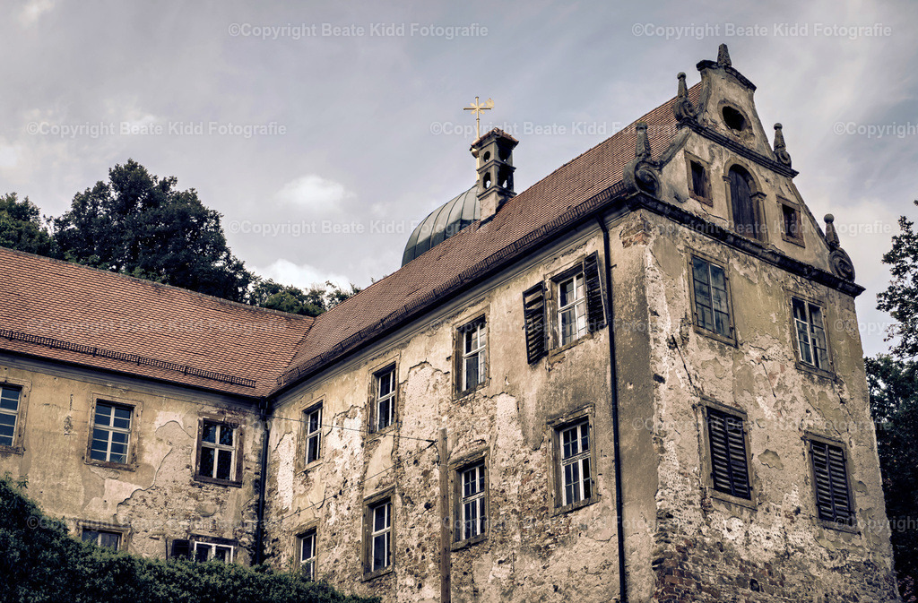 P1490832 | beatekidd-fotografie - Realisiert mit Pictrs.com