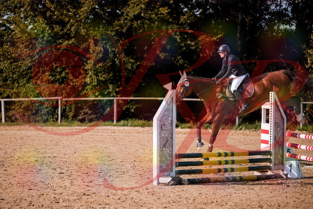 2026_10_03_Siefer-Hof_155618_Z81_75781644 | Professionelle Reitsport-, Turnier- und Eventfotografie von Robert Broda. Galerien mit ausgewählten und bearbeiteten Bildern direkt online ansehen und bestellen.