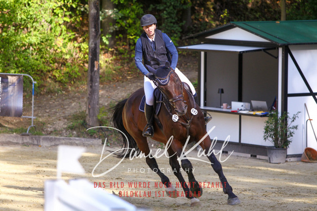 DKP42447 | Turniersportfotografie; Pferdefotografie; Dressurfotografie