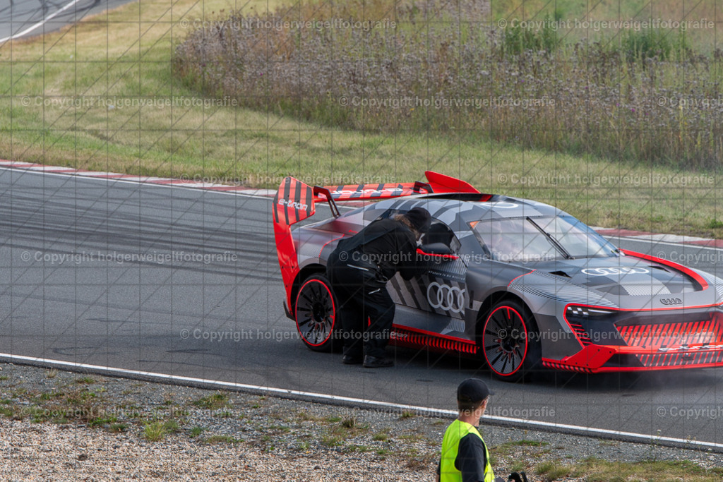 20250906160534D75_6556 | Bitte beachten!!!
Alle Fotos dieser Galerie sind nur grundbearbeitet. Im Falle eines Verkaufs, werde ich die Fotots noch mit dem nötigen Feinschliff versehen. - Realisiert mit Pictrs.com