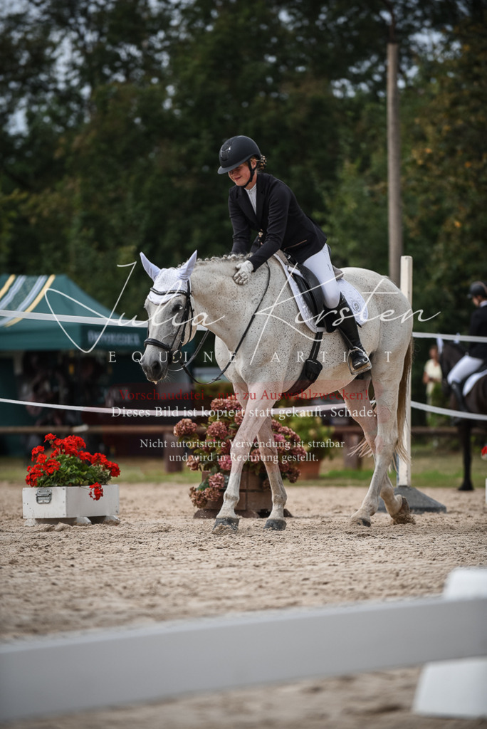 DSC_8525 | Pferde- und Turnierfotografie in Westsachsen. Pferdeportraits, Auftragszeichnungen und intuitive Kunst.