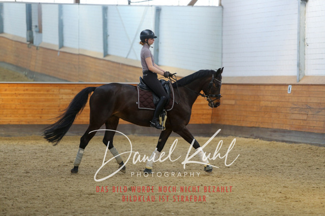 IMG_3503 | Deine Turnierfotos vom Reitturnier online kaufen: Dressur, Springen & Siegerehrung. Professionelle Pferdefotografie aus dem Rheinland – als Download & Print.Alternative: Turnierfotograf für den Pferdesport: Finde deine Fotos von Dressur- und Springturnier