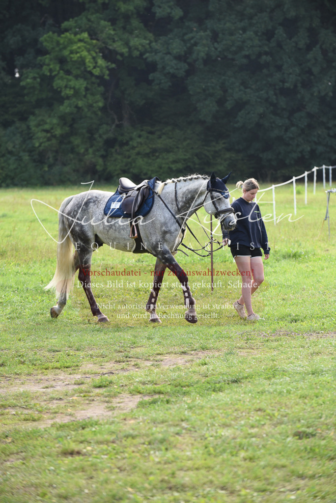 DSC_8526 | Pferde- und Turnierfotografie in Westsachsen. Pferdeportraits, Auftragszeichnungen und intuitive Kunst.