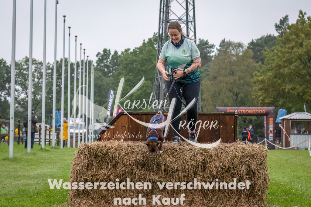 1222--5 | kk-dogfotos