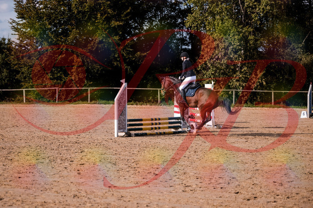 2026_10_03_Siefer-Hof_154109_Z81_57309796 | Professionelle Reitsport-, Turnier- und Eventfotografie von Robert Broda. Galerien mit ausgewählten und bearbeiteten Bildern direkt online ansehen und bestellen.