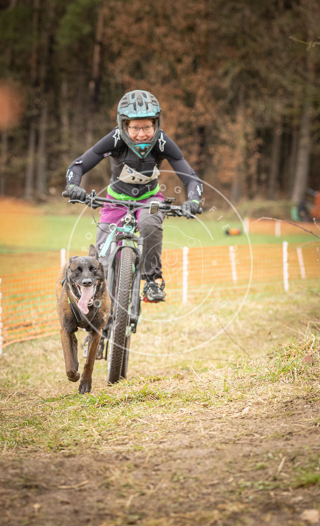 DV3A1006 | Hundefotografie, Tierfotograf, Pfotenfotografie, Fotoshooting Hund, Hunde Portrait, Hundesport, Hundeportraits, Heideshooting, Hunde, Sportfotograf, Hundefotograf, Turnierhundsport, THS,  - Realisiert mit Pictrs.com