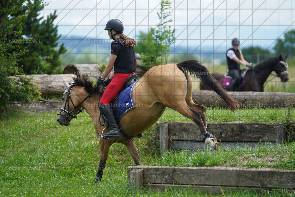 20240622-FAH07359 | Turnierfotografen Bayern, Reitsportbilder aus dem Geländekurs mit Felix Etzel auf dem Gut Waitzacker 2024