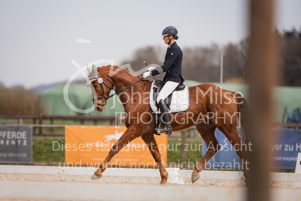 230410_Frühlingsfest_A-Dressur-446 | Deine schönsten Turniermomente als professionelle Fotos! Entdecke hochwertige Pferdesport-Fotografie im Online-Shop. Jetzt Fotos finden & bestellen!