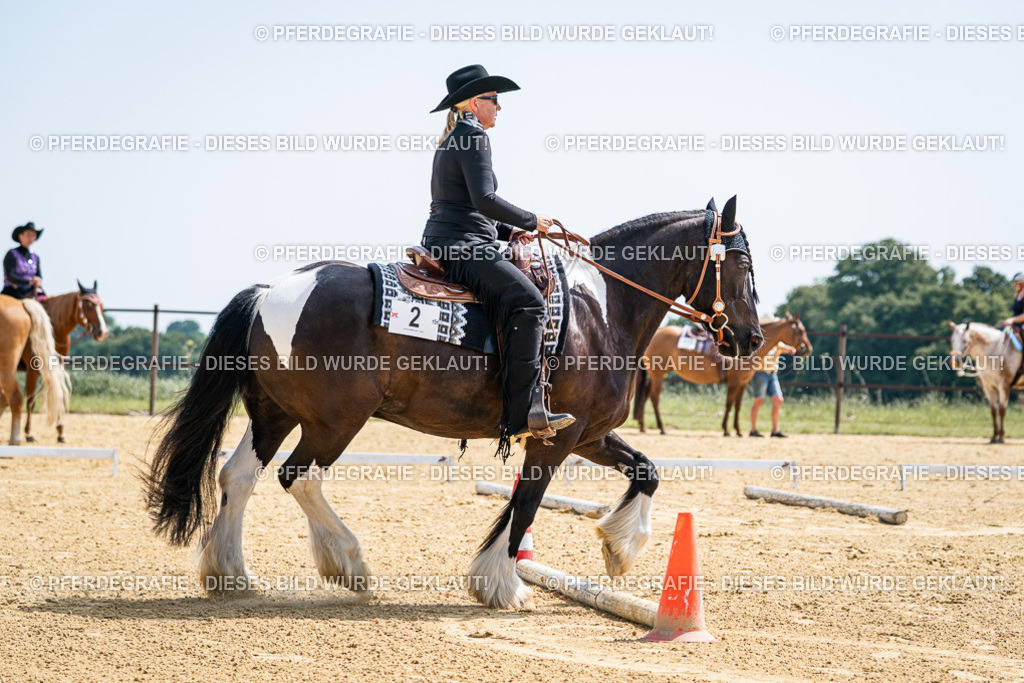 DSC00236 | Pferdegrafie