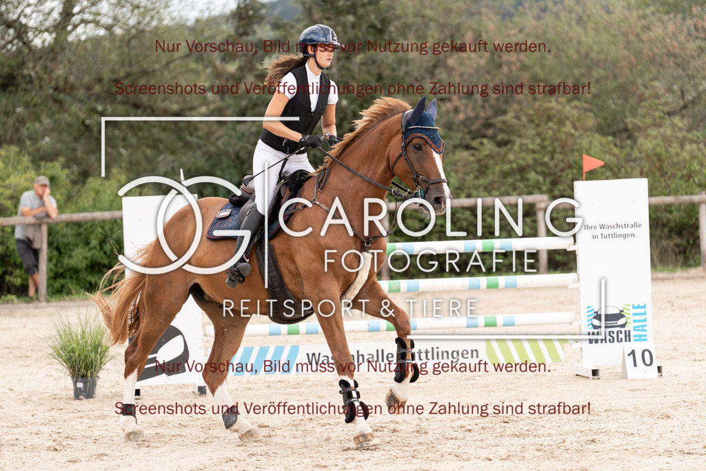 DSC06541 | Springturnier_Teamchallege_Talheim_2026, Alina_Rieker, Diamonique_Z