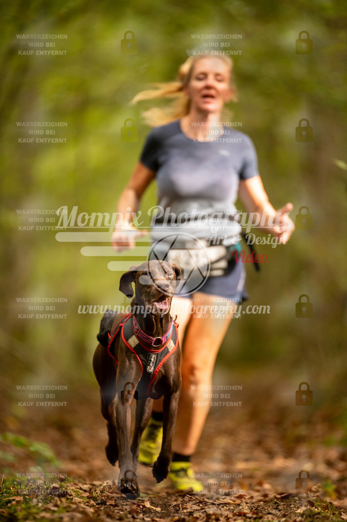 TSB_2023_E1_Canicross-8 | PayLife