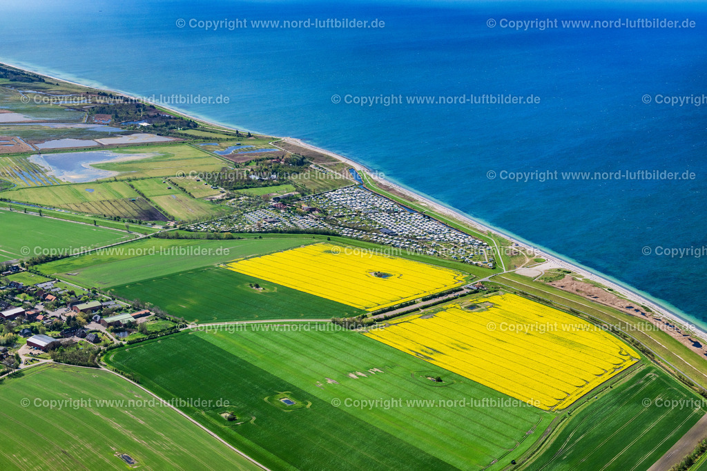 Fehmarn_Bojendorf_Campingplatz_Wallnau_ELS_5755010524 | FEHMARN 01.05.2024 Campingplatz mit Wohnwagen und Zelten im Küstenbereich " Bojendorf Campingplatz Wallnau " in Fehmarn auf der Insel Fehmarn im Bundesland Schleswig-Holstein, Deutschland. // Campsite with caravans and tents in the coastal area " Bojendorf Campingplatz Wallnau " in Fehmarn on the island of Fehmarn in the state Schleswig-Holstein, Germany. Foto: Martin Elsen