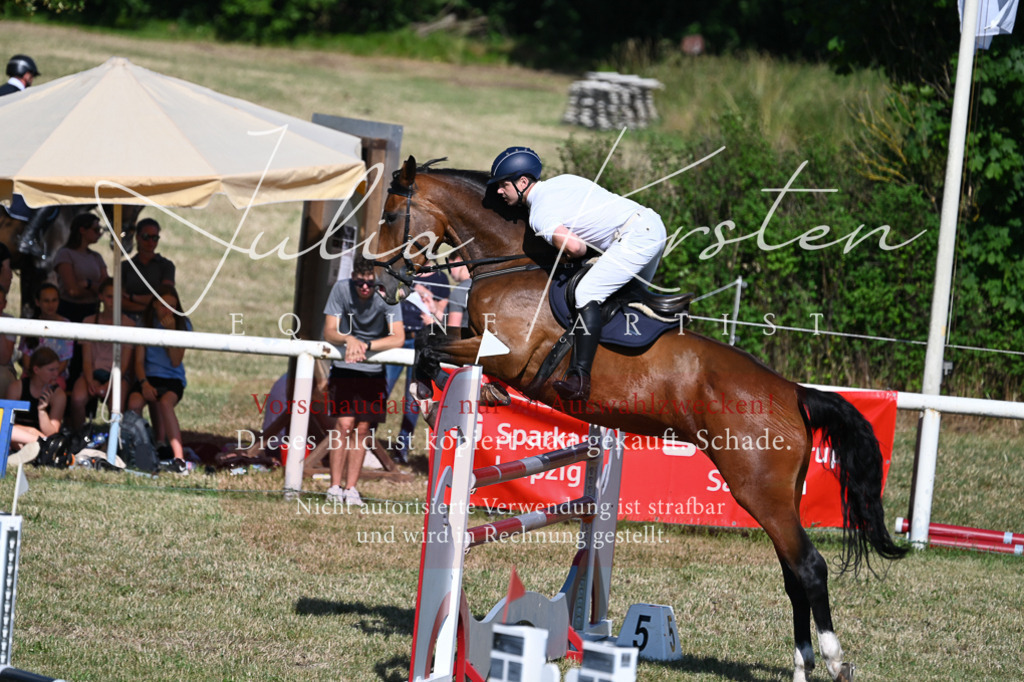 DSC_2174 | Pferde- und Turnierfotografie in Westsachsen. Pferdeportraits, Auftragszeichnungen und intuitive Kunst.