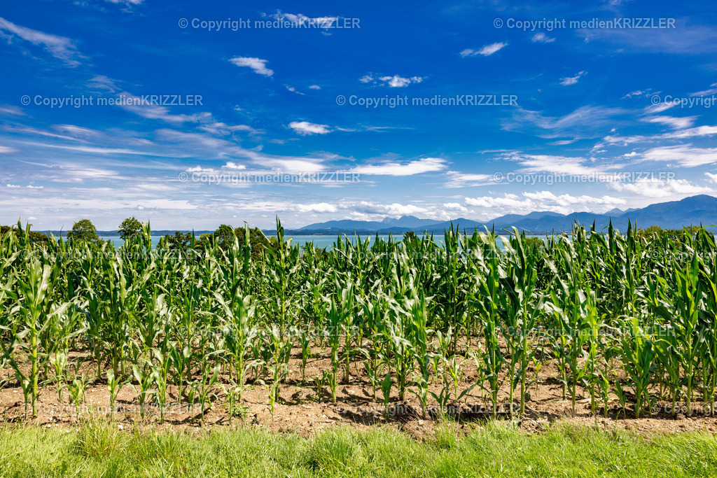 Chiemsee | medienkrizzler - Realisiert mit Pictrs.com
