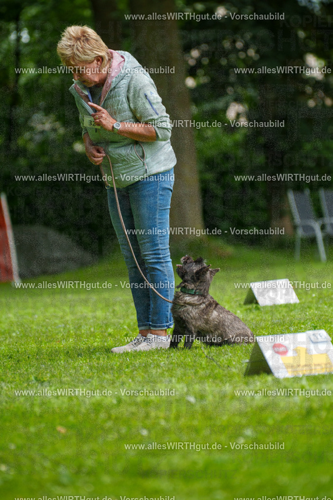 @allesWIRTHgut_Tierfotografie - www.allesWIRTHgut.de - 7R504460 | Professionelle Tierfotografie in Mönchengladbach von Daniel Wirth (allesWIRTHgut). Liebevolle & natürliche Bilder von Hunden & Katzen für unvergessliche Erinnerungen.