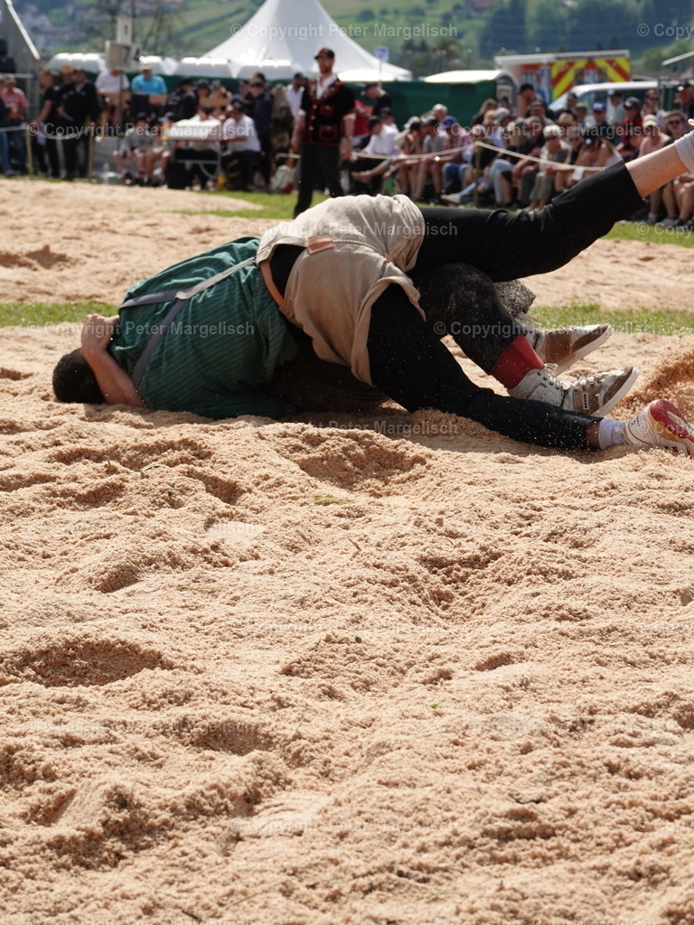DSC06768 | Schwingen - Realisiert mit Pictrs.com