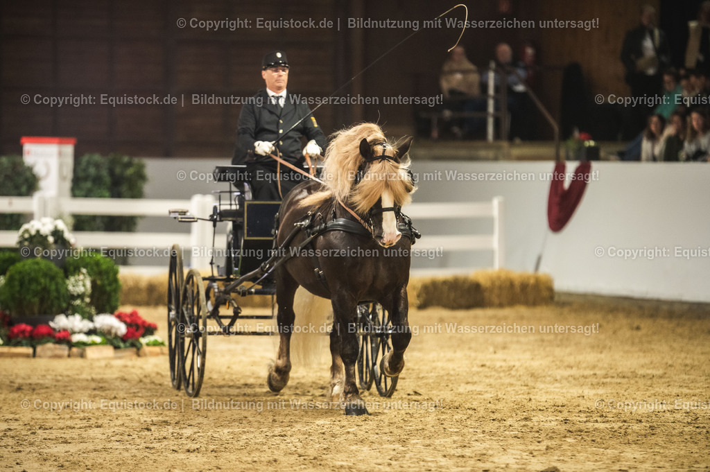 20240302_Hengstvorstellung_Marbach_TOMsPiC_0632 | equistock