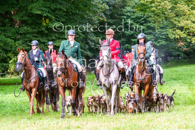 Jagd Perdoel 26 Sony-04164_MarinaHewig | Fotografie, FotoArt, PferdesportArt, Pferdesportfotografie, Landschaftsfotografie, Reisefotografie, Reise, Pferde - Realisiert mit Pictrs.com