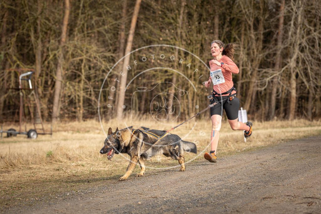 DV3A3998 | Hundefotografie, Tierfotograf, Pfotenfotografie, Fotoshooting Hund, Hunde Portrait, Hundesport, Hundeportraits, Heideshooting, Hunde, Sportfotograf, Hundefotograf, Turnierhundsport, THS,  - Realisiert mit Pictrs.com