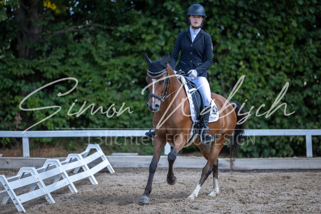 20260905-_3LI8427 | Tierfotografie Pferde, Hunde, Katzen, Haustiere.
Turnierfotografie Reitturniere, Reiten, Springreiten, Dressur in Hanau, dem Main-Kinzig-Kreis und dem Rhein-Main- Gebiet um Frankfurt