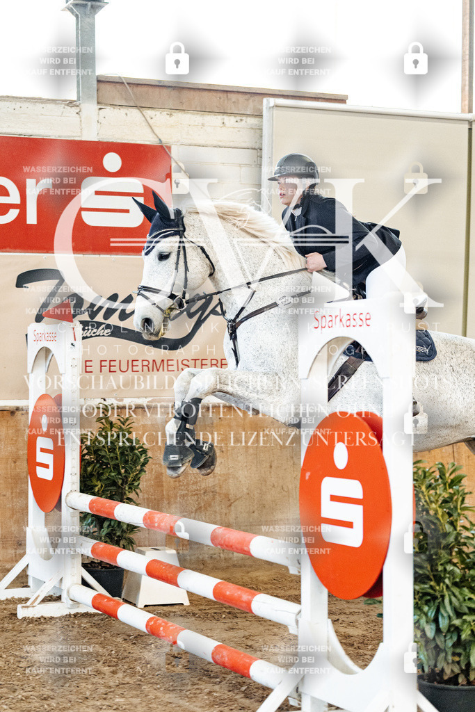 CK904459 | Turnierfotografie Pferdefotografie Trier Rheinland-Pfalz Pferdesport Reitsport Tierfotografie Sportfotografie Pferdevideo Pferdevideografie Equestrianvideography equestrianphotography  - Realisiert mit Pictrs.com