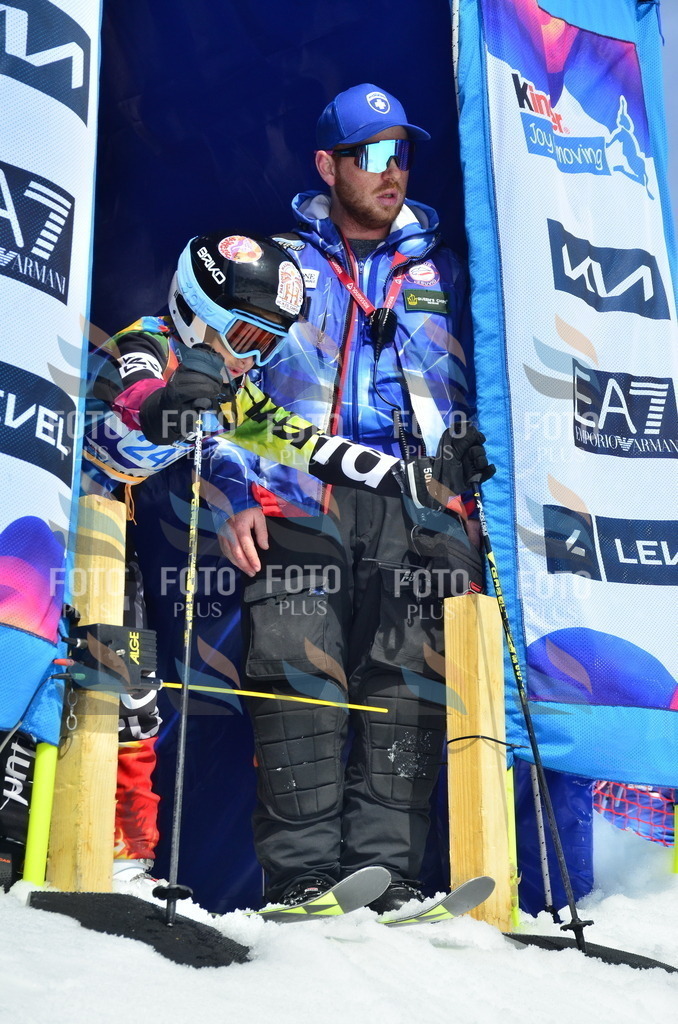 _ELE1793 | holidayphoto