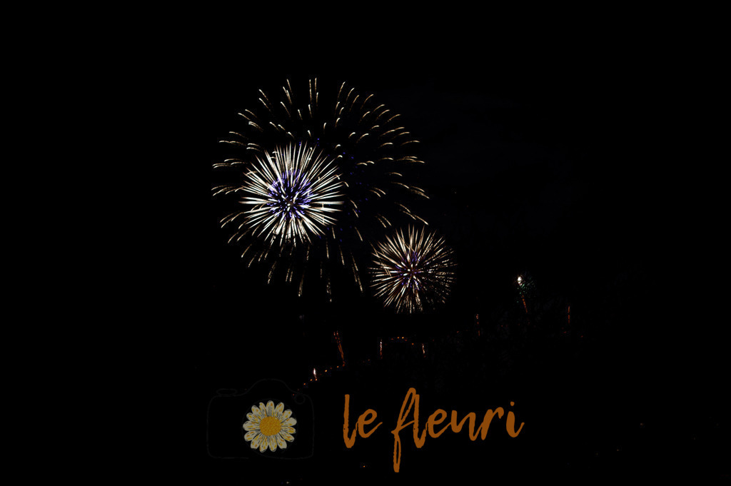 Ravellen-Club | Dies ist der Shop von Florian Blum - le fleuri. Langenthal, Bern, Schweiz. Sie können hier meine oder ihre eigenen Fotos als Fotoprodukte kaufen. Tassen, Schlüsselanhänger, Taschen etc. können Sie hier gestalten.  - Realisiert mit Pictrs.com