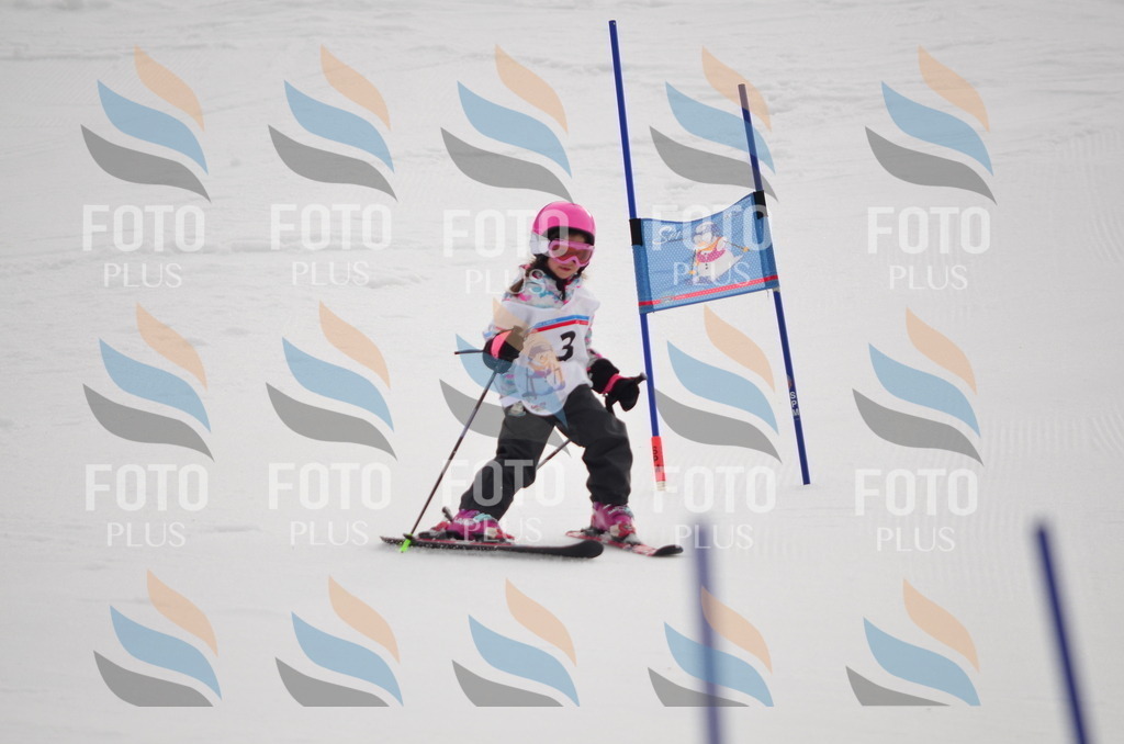 B9678 | holidayphoto