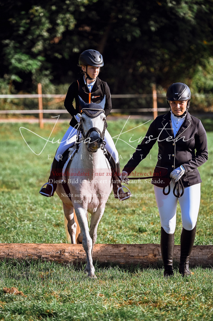 DSC_0414 | Pferde- und Turnierfotografie in Westsachsen. Pferdeportraits, Auftragszeichnungen und intuitive Kunst.