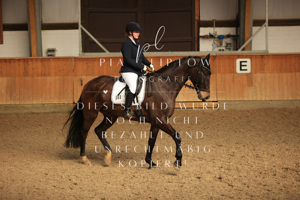 IMGT4961 | pl-fotografie