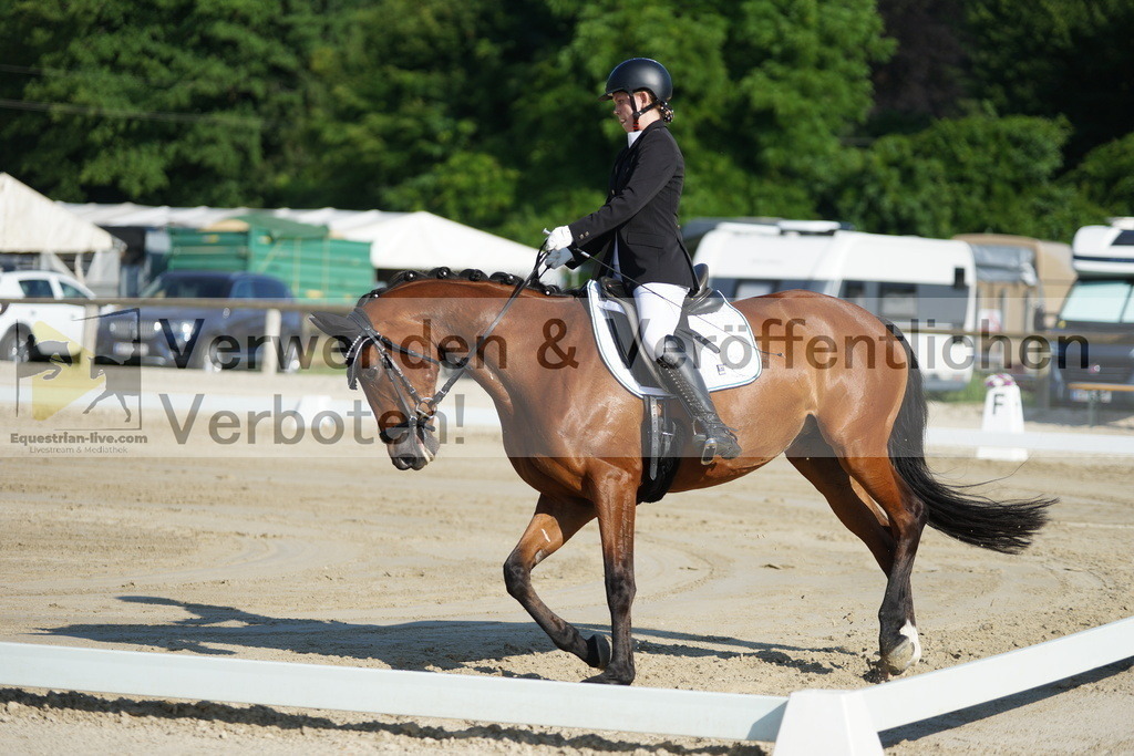 DSC04046 | equestrian-live-com