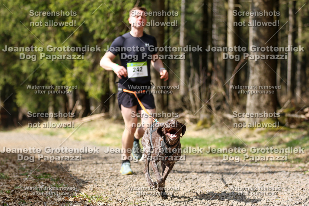 Dog Paparazzi - VCC26-316 | Dog Paparazzi Jeanette Grottendiek Fotografie & Videografie - Realisiert mit Pictrs.com