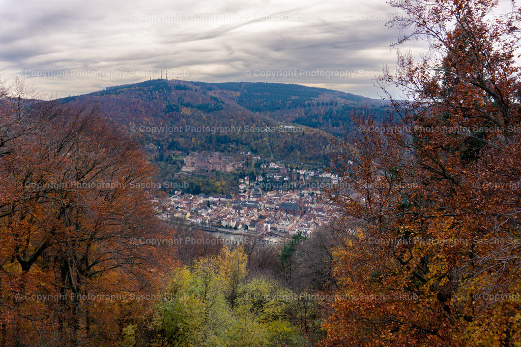 Philosophenweg Heidelberg | Willkommen im Shop von Photography Sascha Staub. Hier findest du alle Fotos und Medieninhalten von Sascha Staub. In diesem Shop kannst du Lizenzen zu den Fotos, Drucke und Gutscheine für den Shop erwerben.  - Realisiert mit Pictrs.com