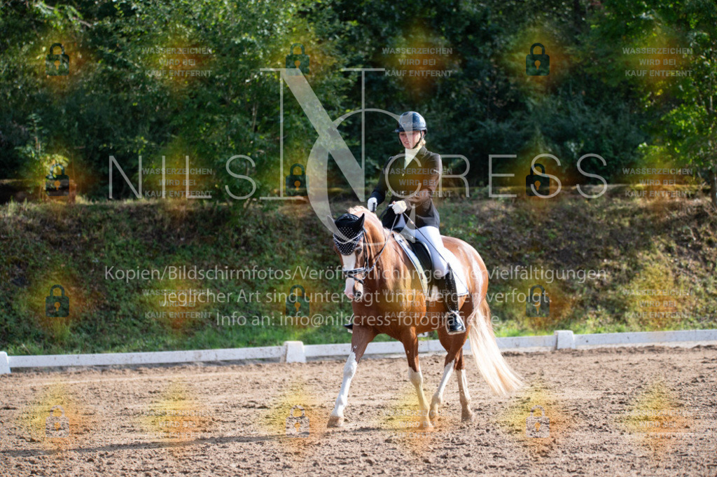 DSC_6499 | Nils Cress - Fotografie - Realisiert mit Pictrs.com
